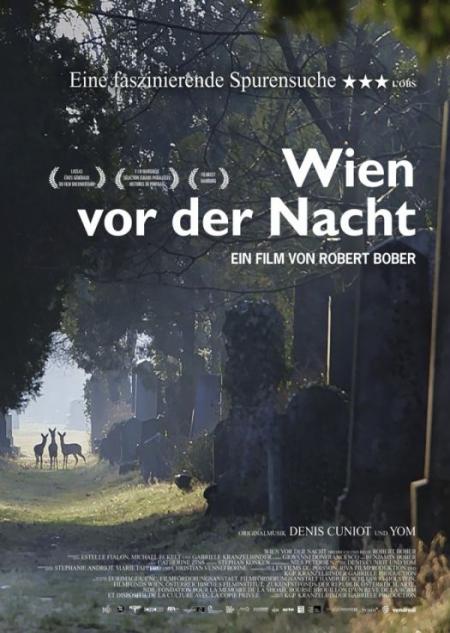 Vienna before nightfall - Filmplakat